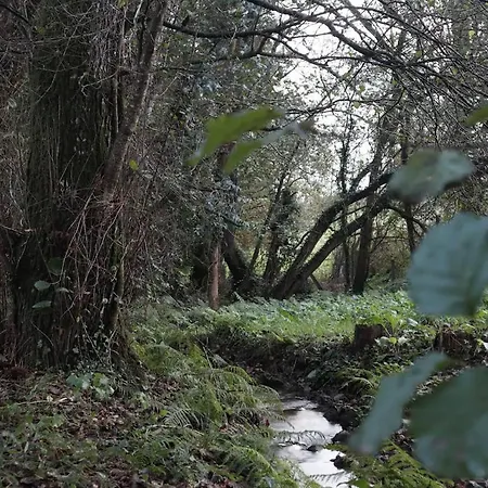 Casa De Piedra, A Lameira Сasa de vacaciones A Coruña