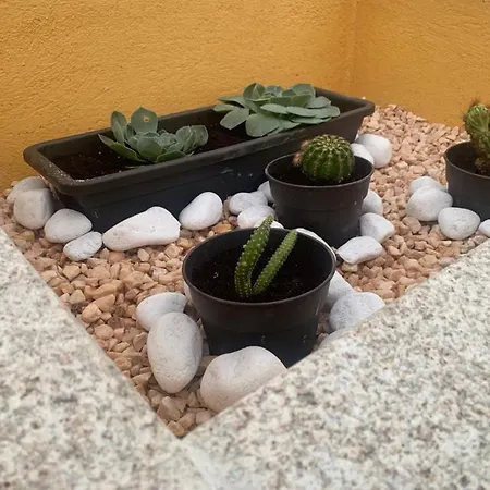بيت للعطل Casa De Piedra, A Lameira *
