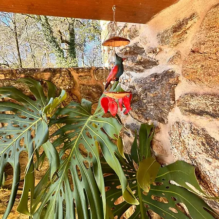 Casa De Piedra, A Lameira Сasa de vacaciones