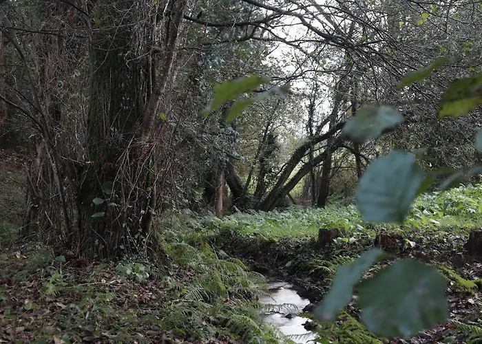 Casa De Piedra, A Lameira Holiday home A Coruna