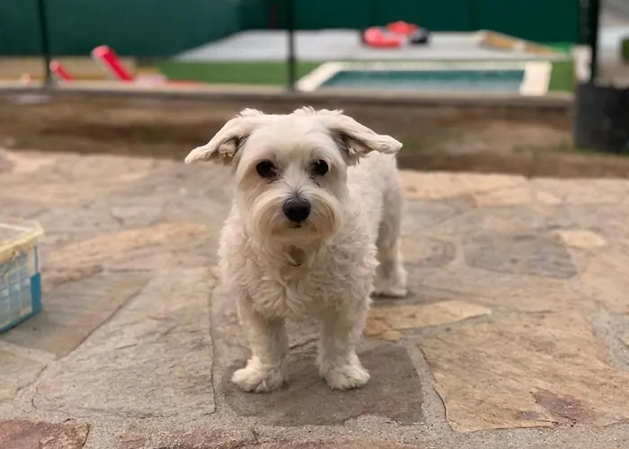 Casa De Piedra, A Lameira * A Coruna